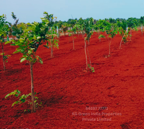 5-KG-Green-India-Properties-Pvt-Ltd-468-420