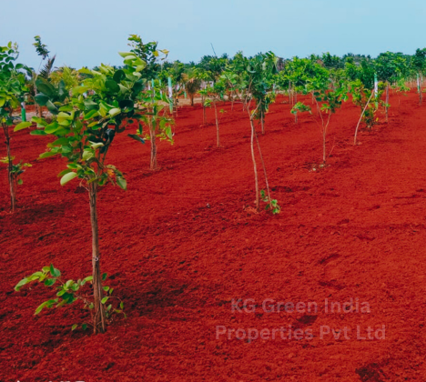 5-KG-Green-India-Properties-Pvt-Ltd-468-420